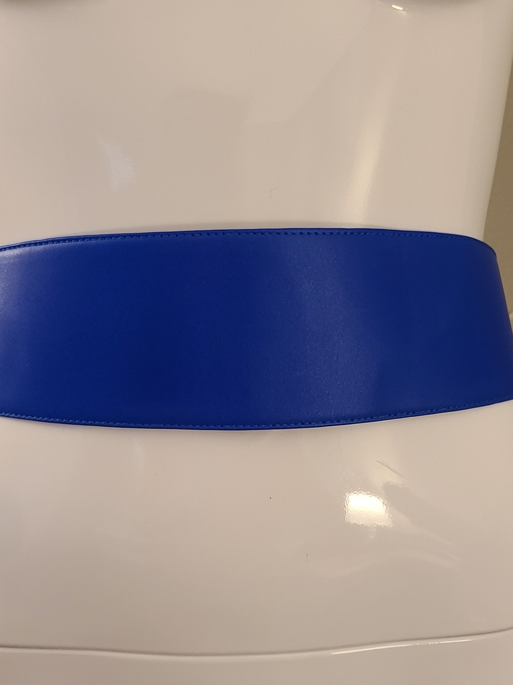 Loewe Wide Royal Blue Leather Corset Belt